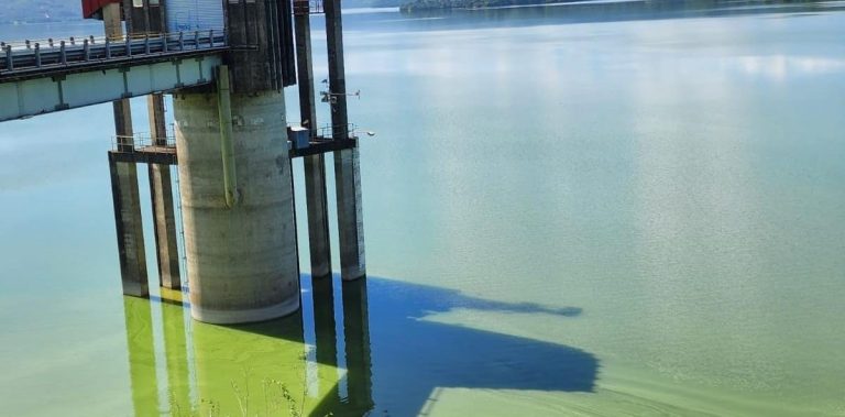 69891f206cf71.r_d.600-516-10000