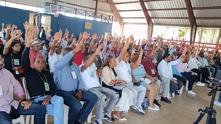 Escogen-a-13-nuevos-dirigentes-para-Fuerza-del-Pueblo-en-SDN